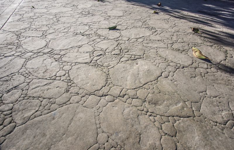 Decorative Concrete Repair in Gastonia, NC